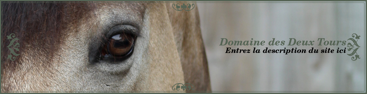 Domaine des Deux Tours